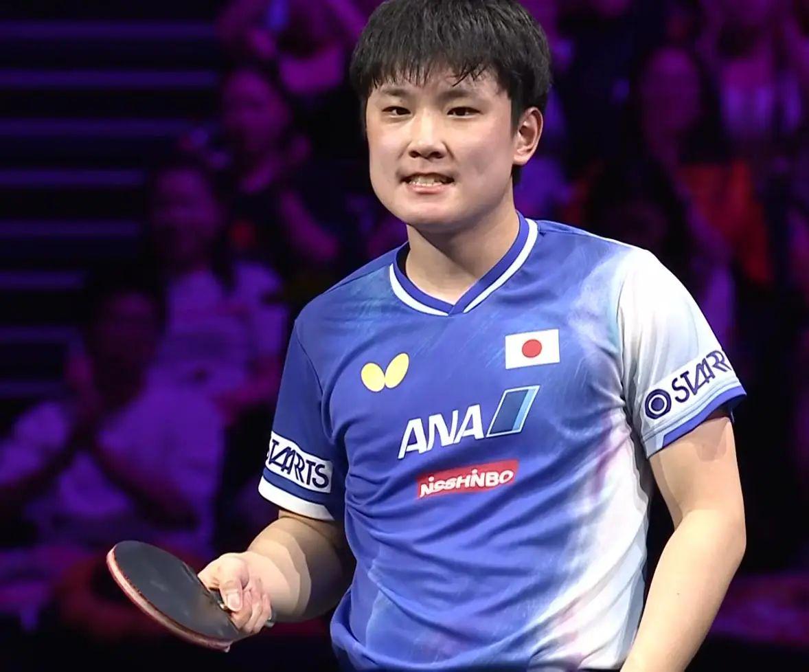 张本智和成 张本智和成