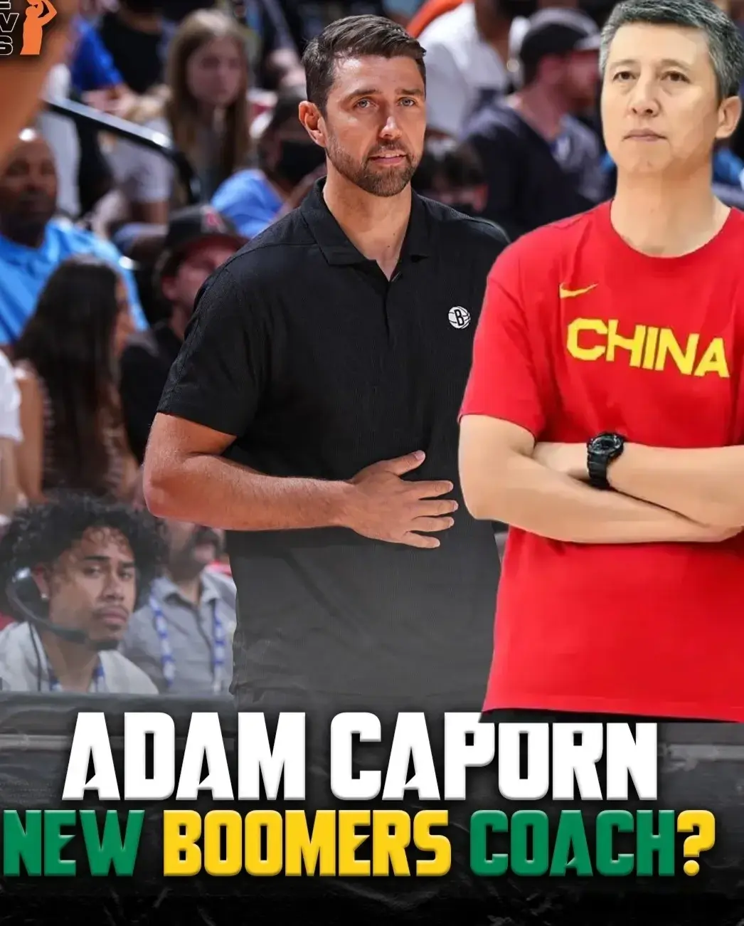 entit, 本相当的情, https entit, 本相当的情, https