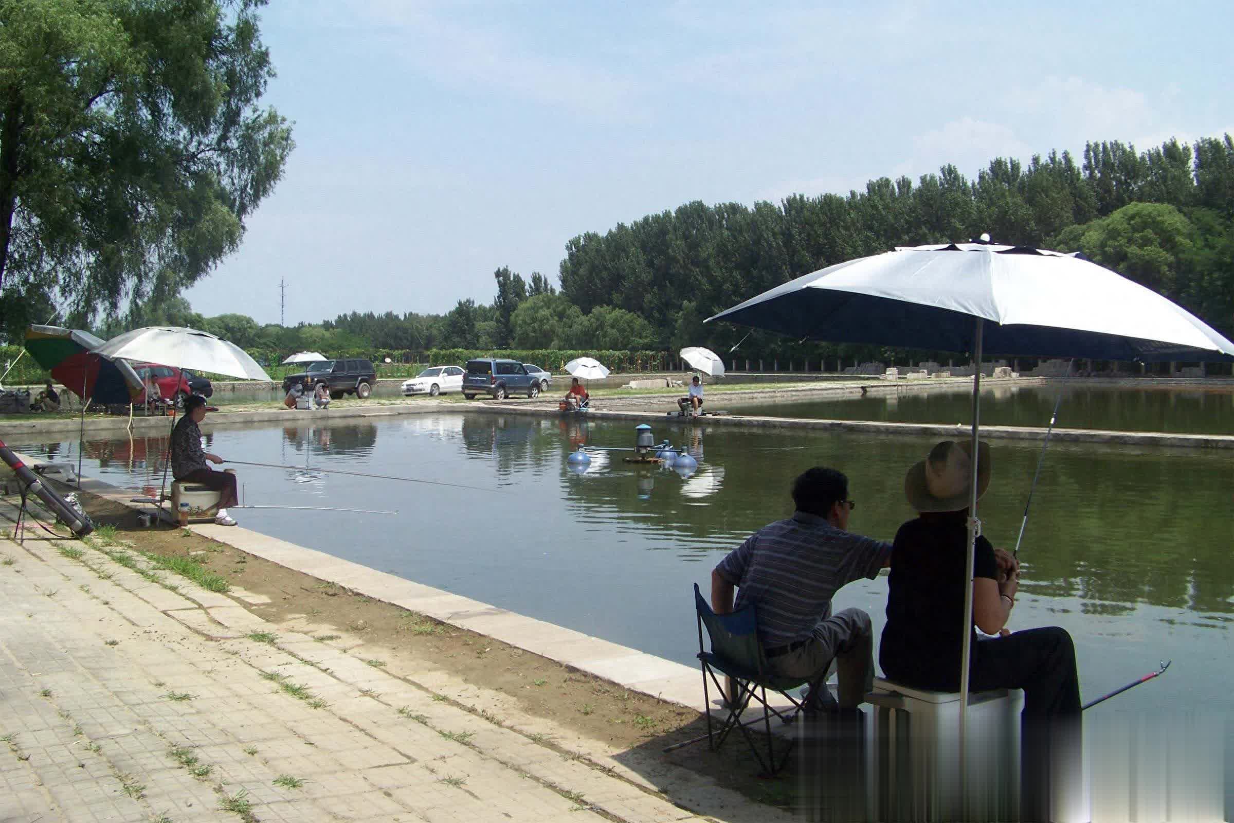 个要素排名, entit, 而水温和溶 个要素排名, entit, 而水温和溶