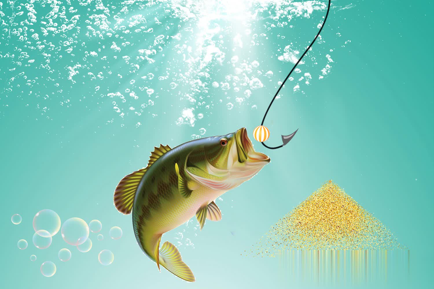 尤其是钓鲤 尤其是钓鲤